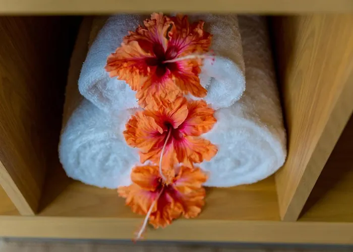 Paradise Yoga & Wellness *