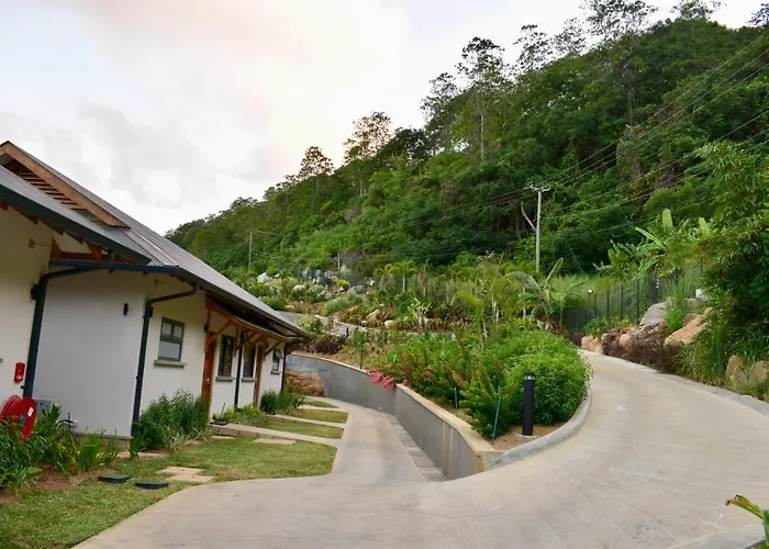 Paradise Yoga & Wellness