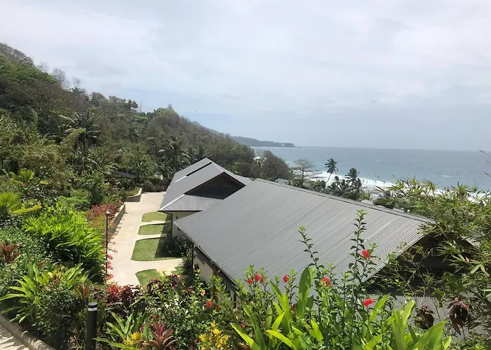 Paradise Yoga & Wellness