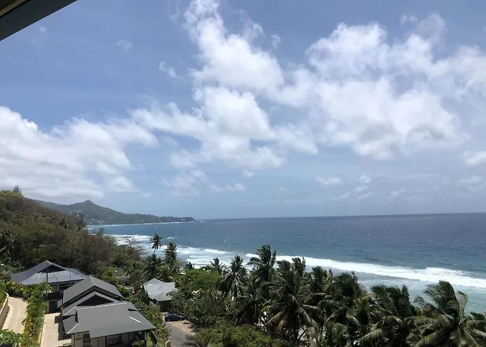 Paradise Yoga & Wellness