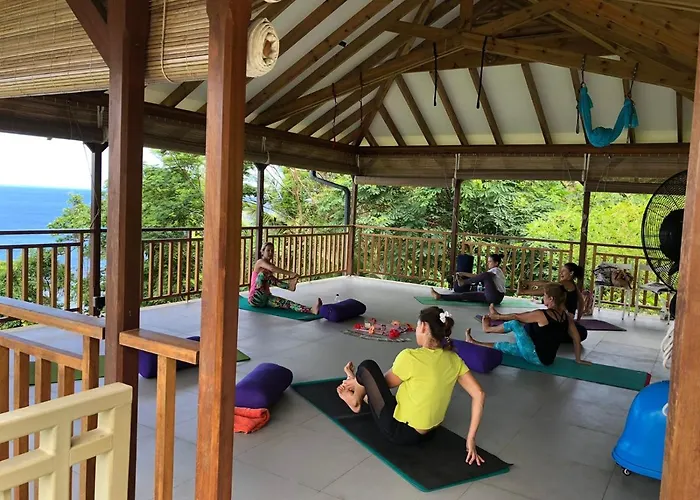 Paradise Yoga & Wellness *