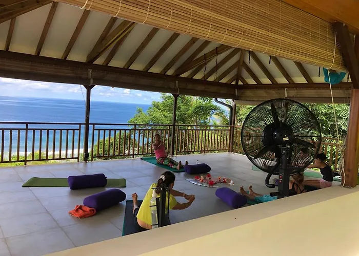 Paradise Yoga & Wellness
