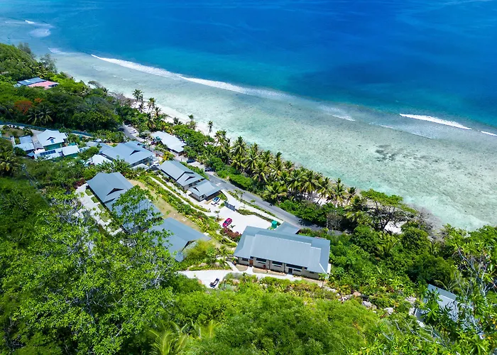 Paradise Yoga & Wellness *